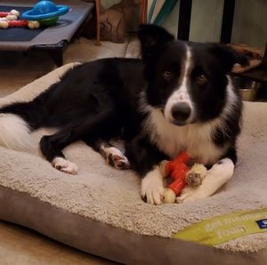 Meet your Posher, Brad